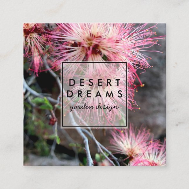 Carte De Visite Carré Pink Desert Fairy Duster Fleur sauvage Photo Voyag (Devant)
