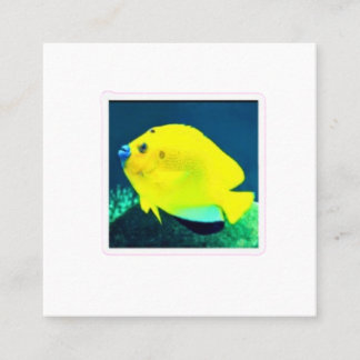 Carte De Visite Carré Poisson-ange à trois taches exotiques - Tropiques