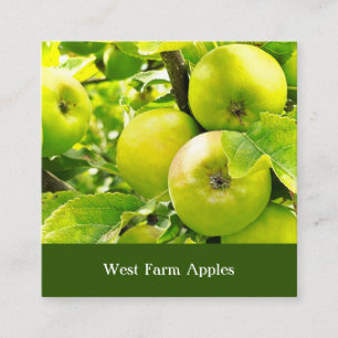 Carte De Visite Carré Pomme Orchard Cider Presse Arbre Fruit Grotte