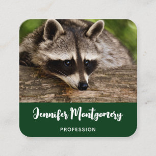 Carte De Visite Carré Raccoon mignon reposant sur un journal