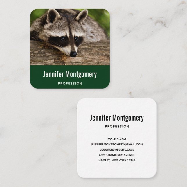 Carte De Visite Carré Raccoon mignon reposant sur un journal (Devant / Derrière)