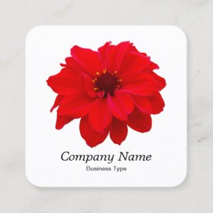 Carte De Visite Carré Rouge Dahlia - Blanc