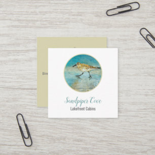 Carte De Visite Carré Sandpiper Bird Beach Location côtière