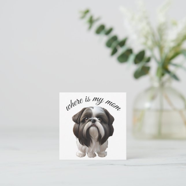 Carte De Visite Carré Shih Tzu - Où Est Ma Mère (Debout devant)