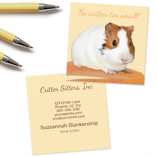 Carte De Visite Carré Soins aux animaux de compagnie mignons Guinée Pig