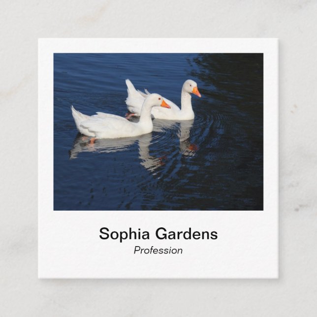 Carte De Visite Carré Style photo instantané - Emden Geese (Devant)