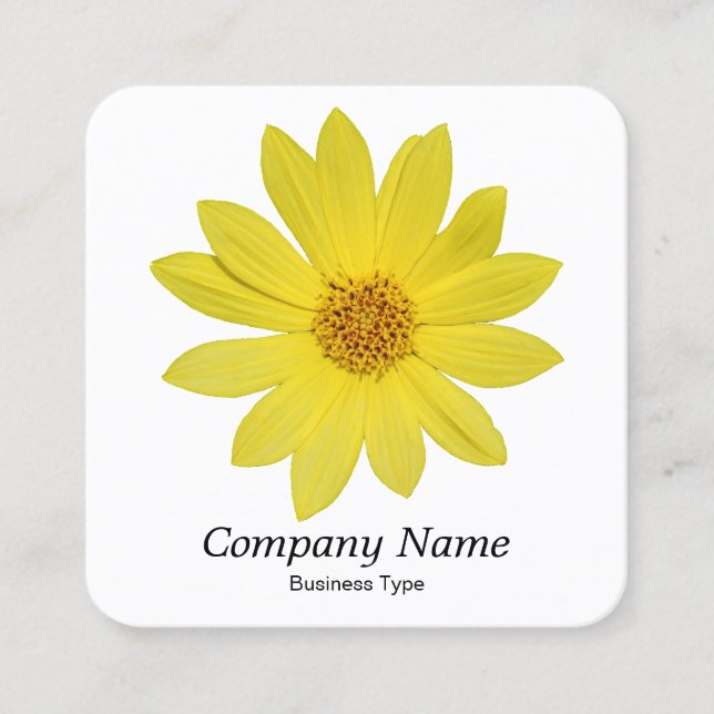 Carte De Visite Carré Tournesol "Reine du citron" Helianthus - Blanc (Devant)