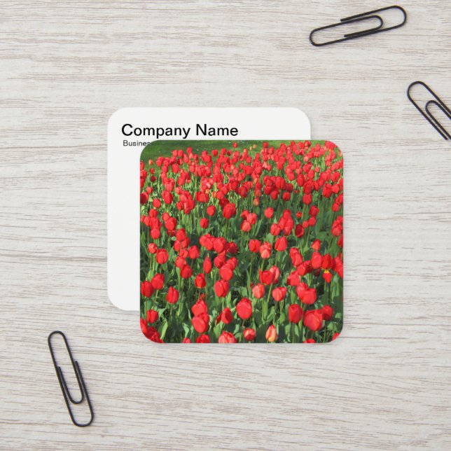 Carte De Visite Carré Tulipes rouges (Devant/Arrière en situation)