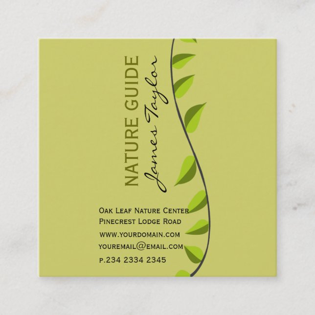 Carte De Visite Carré Vert verdure Shoot Green Leaf Plantes botaniques (Devant)