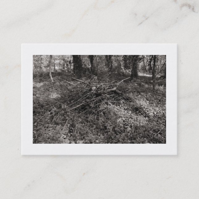 Carte De Visite Carreaux (Bordé) (Devant)