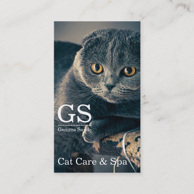 Carte De Visite Cat Care Garderie Pour Animaux De Compagnie Et Spa (Devant)