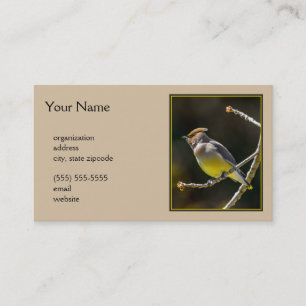 Carte De Visite Cèdre cire Songbird Photo originale Oiseau sauvage