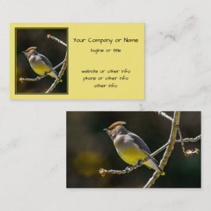 Carte De Visite Cèdre cire Songbird Photo originale Oiseau sauvage