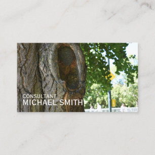 Carte De Visite Central Park NYC Tree Trunk Nature Photographie