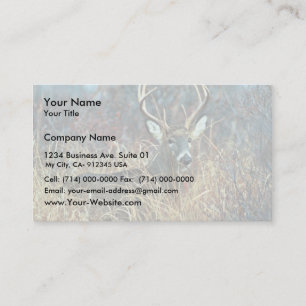 Carte De Visite Cerf à queue blanche