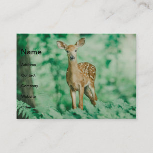 Carte De Visite Cerfs communs