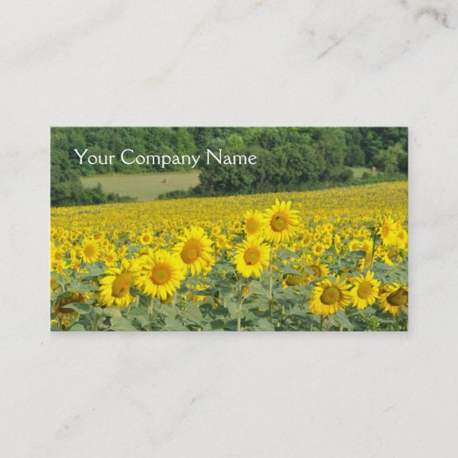 Carte De Visite Champ de paysage de tournesols (Devant)