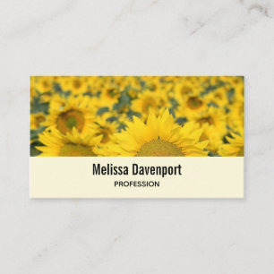 Carte De Visite Champ jaune de tournesols photo