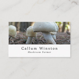 Carte De Visite Champignons sauvages, Producteur De Champignons