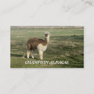 Carte De Visite Champion Alpacas