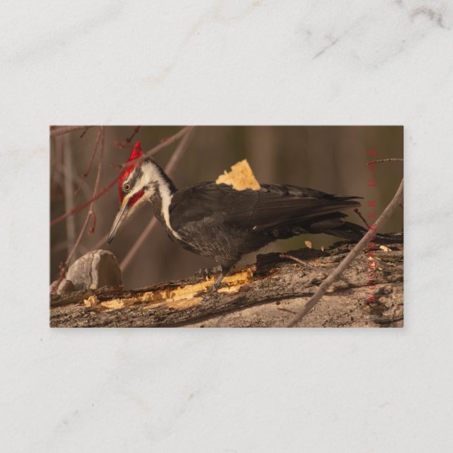 Carte De Visite Charpentier, Travailleur du bois, Constructeur à d (Devant)