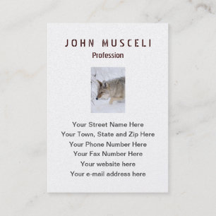 Carte De Visite Chasse de coyote dans la neige dans Tetons grand