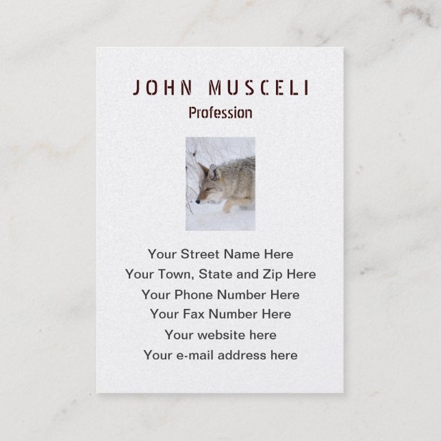Carte De Visite Chasse de coyote dans la neige dans Tetons grand (Dos)