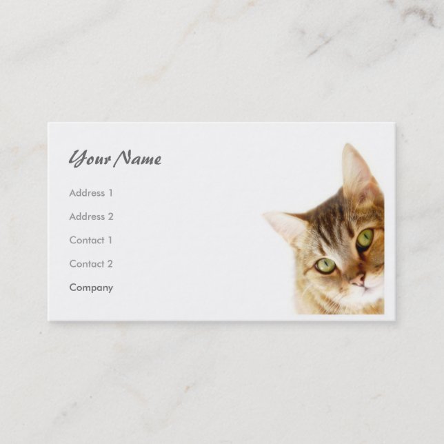 Carte De Visite Chat (Devant)