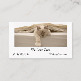 Carte De Visite Chat Beige Couché Sur Lit Beige