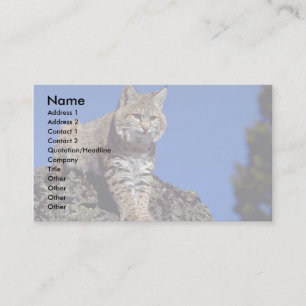 Carte De Visite Chat sauvage skylined