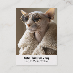 Carte De Visite Chat Sphynx élégant en lunettes de soleil et mante
