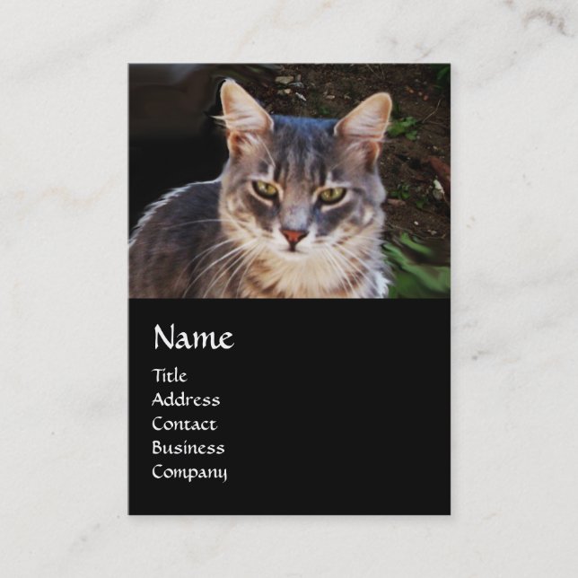 CARTE DE VISITE CHAT TURQUE MONOGRAMME (Devant)