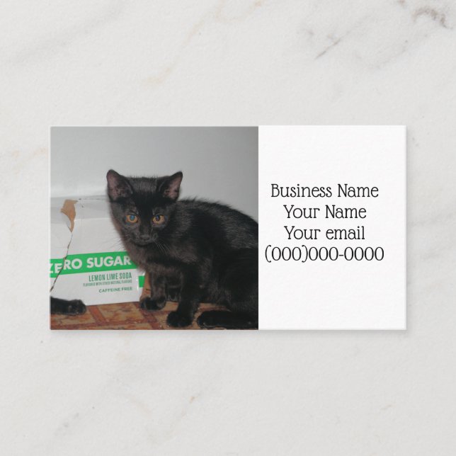 Carte De Visite Chatons (Devant)