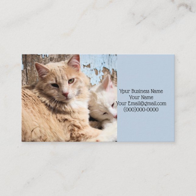 Carte De Visite Chats (Devant)