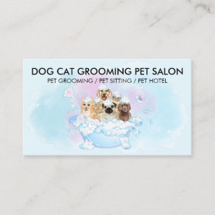 Carte De Visite Chats Rose Bleu Chiens Douche Animaux de compagnie