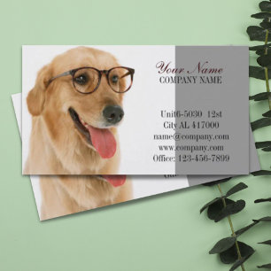 Carte De Visite Chatte chien chat animal sitter animal toiletteur