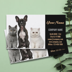 Carte De Visite Chatte chien chat animal sitter animal toiletteur