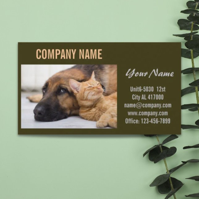 Carte De Visite Chatte chien chat animal sitter animal toiletteur (Cute dog cat pet sitter animal sitter pet groomer business card)