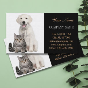 Carte De Visite Chatte chien chat animal sitter animal toiletteur