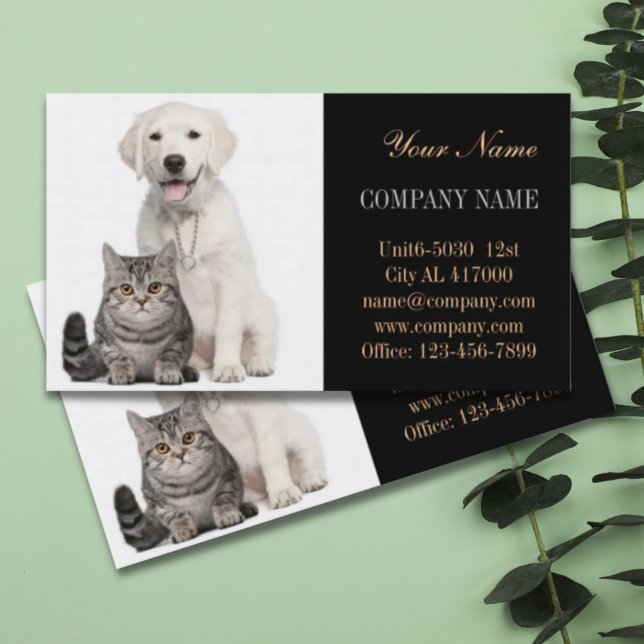 Carte De Visite Chatte chien chat animal sitter animal toiletteur (Cute dog cat pet sitter animal sitter pet groomer business card)