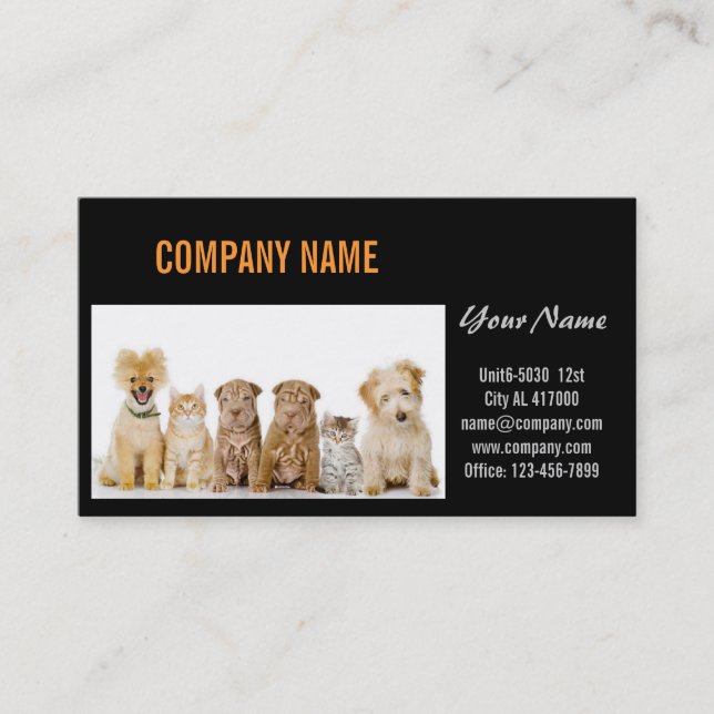 Carte De Visite Chatte chien chat animal sitter animal toiletteur (Devant)