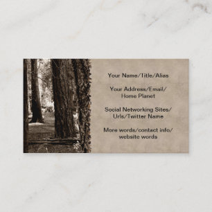 CARTE DE VISITE CHEMIN D'ARBRE