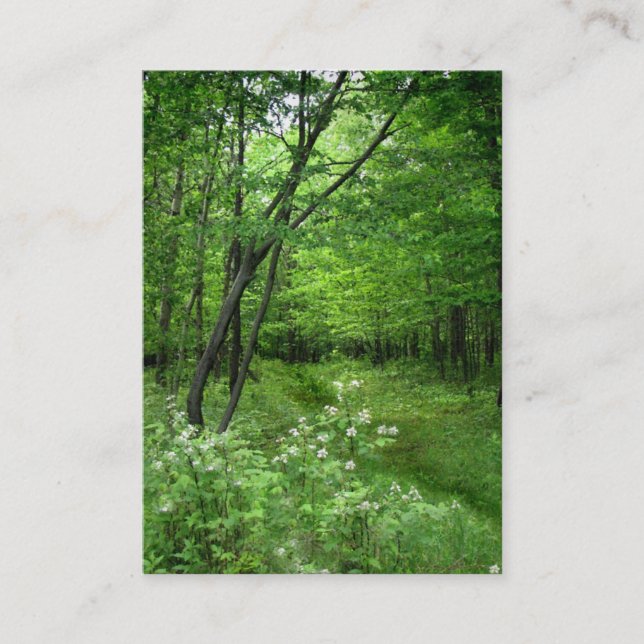 Carte De Visite Chemin de Woodland ATC (Devant)