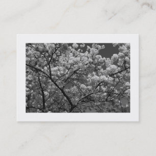 Carte De Visite Cherry Blossom B&W (Bordé)