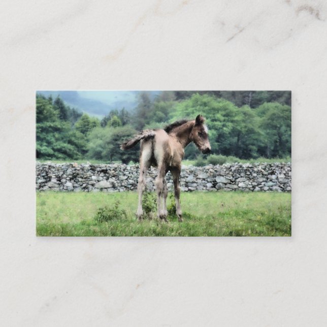 CARTE DE VISITE CHEVAL (Devant)