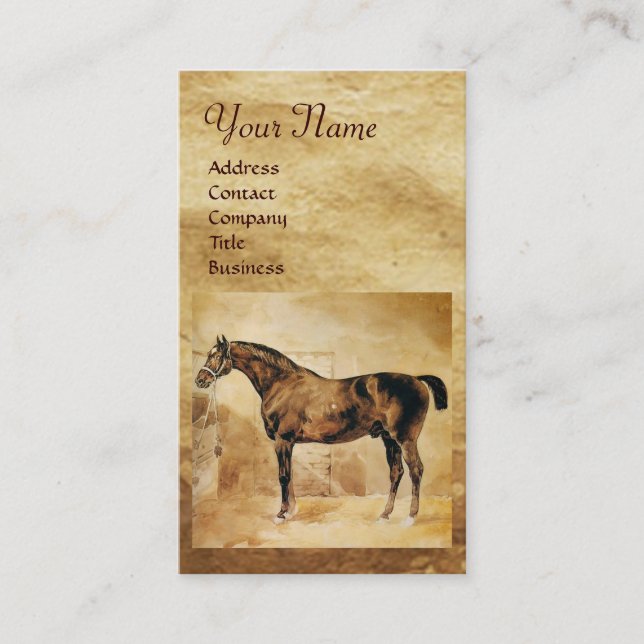 CARTE DE VISITE CHEVAL ANGLAIS EN CHEVAL STABLE (Devant)