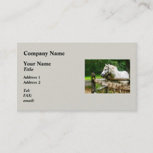 Carte De Visite Cheval blanc regardant ailleurs