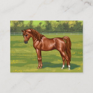 Carte De Visite Cheval égyptien arabe châtaigner dans le pâturage 