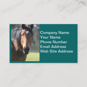 Carte De Visite Cheval : Grand plan rapproché Brown de cheval de