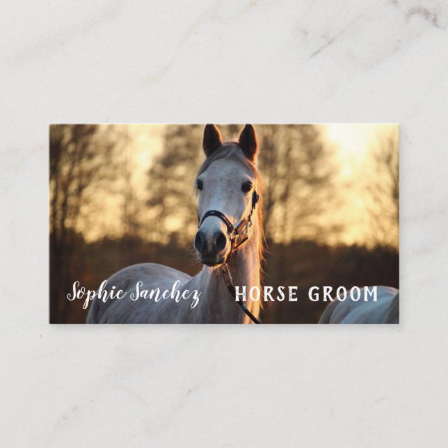 Carte De Visite Cheval Groom Photo Professionnel (Devant)